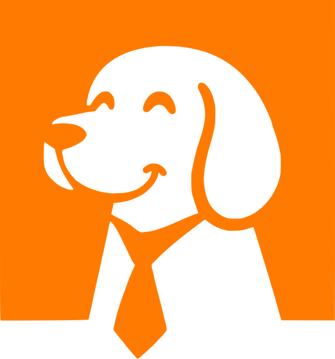 RPMIC
